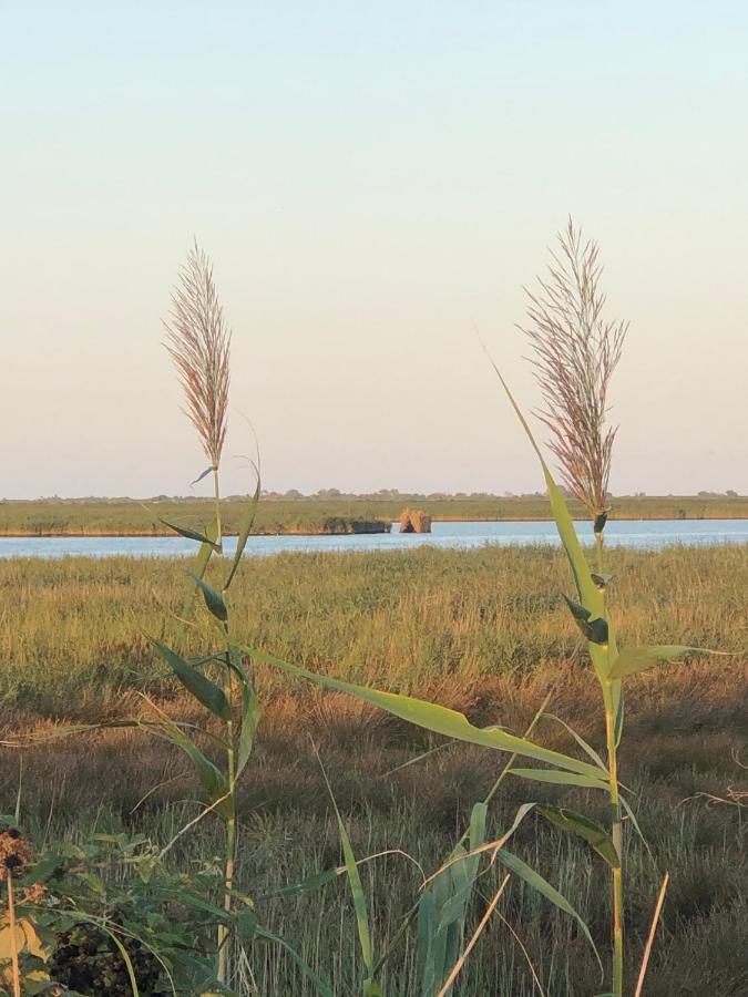 Mare&Terra... Alloggi Nel Delta Polesine Camerini Extérieur photo