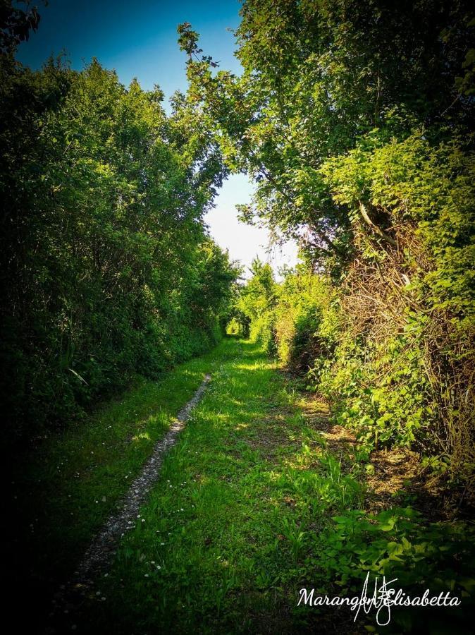 Mare&Terra... Alloggi Nel Delta Polesine Camerini Extérieur photo